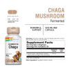 SOLARAY Fermented Chaga Mushroom 1000 mg - Healthy Immune Function Support