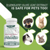 East Park Olive Leaf Extract (OLE) Super Strength d-Lenolate 500mg
