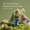 Gaia Herbs Black Elderberry
