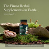 Gaia Herbs Everyday Immune Mushrooms&Herbs-Immune Support Supplement to Help Aid