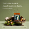 Gaia Herbs Turmeric Supreme Adult Daily Gummies-Daily Swelling Support