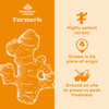 ORGANIC INDIA Turmeric Curcumin Herbal Supplement