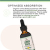Double Wood Supplements Organic Lemon Balm Tincture