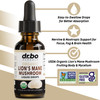 Lions Mane Mushroom Supplement Drops