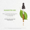 Secrets of the Tribe Milk Thistle Tincture Alcohol-Free Extract, Milk Thistle