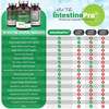 IntestinePro - Gut Health Supplement with Non-GMO Wormwood,