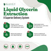 Rejuvica Health DigestaPro - Advanced Digestive Bitters Supplement