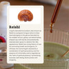 Rainbo - Reishi Mushroom Tincture - Alcohol Free