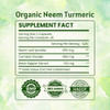 Ireya Ayurveda Neem & Turmeric Capsules