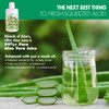 Miracle of Aloe Ultra Aloe Vera Juice, 1 Qt. 4 Pack, Whole Leaf, Pure, Filtered