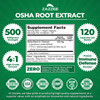 Zazzee OSHA Root 4:1 Extract, 500 mg Strength, 120 Vegan Capsules, 4 Month