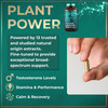 Fadogia Agrestis and Tongkat Ali Supplement