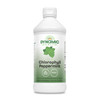 Dynamic Health Liquid Chlorophyll Peppermint 100 mg, Sodium Copper