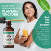 FLORIDA HERBS Plantain Tincture, Organic Plantain Extract (Plantago Major) Dried