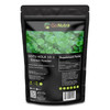 Gotu Kola 10:1 Extract Powder (8 oz), Centella Asiatica