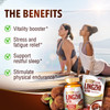 LABO Nutrition Bioactive Organic Lingzhi Reishi Ultra 7 Mushroom Extract