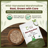 Organic Way Marshmallow Root (Althaea officinalis) Cut & Sifted