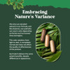 Extra Strength Saw Palmetto Extract