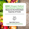 Paradise Herbs ORAC Energy Proteins & Greens Powder, Antioxidant Power of 24