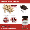 DailyNutra KSM-66 Ashwagandha 600mg Organic Root Extract