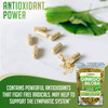 XPRS Nutra Ginkgo Biloba Capsules