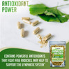 XPRS Nutra Ginkgo Biloba Capsules