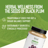 bixa BOTANICAL Jamun Seed Powder - Supports Blood Sugar and Pancreatic Health