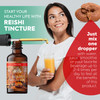 FLORIDA HERBS Reishi Tincture, Organic Reishi Mushroom Extract (Ganoderma
