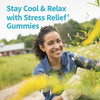 Garden of Life Herbals Stress Relief Gummy with Rhodiola & Saffron for Positive