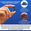 Vision Defender BP Eye Supplement: Bilberry and Pine Bark Extracts for Eye