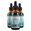 Rejuvica Health IntestiClear - Advanced Intestinal Cleanse Support for Humans