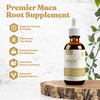 Rejuvica Health Active Maca - Advanced Maca Root Extract