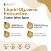 Rejuvica Health Active Maca - Advanced Maca Root Extract