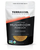 Terrasoul Superfoods Organic Lion's Mane Mushroom Powder (4:1 Extract), 5.5