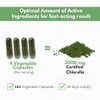 Chlorella Capsules 3000 mg - Cracked Cell Wall Blue Green Algae Supplement