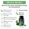 Chlorella Spirulina Powder Capsules 3000 mg of BMAA Free Purest Blue Green Algae