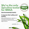 Chlorella Spirulina Powder Capsules 3000 mg of BMAA Free Purest Blue Green Algae