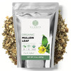 Elanen Naturals Organic Mullein Leaf 8 oz. (227g), USDA Certified Organic