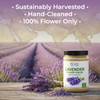 bixa BOTANICAL Lavender Powder for Drinks|Lavandula angustifolia|Lavender