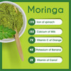 bixa BOTANICAL Moringa Powder (Organic Moringa Oleifera