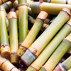 Pure Original Ingredients Bamboo Extract (8oz) Non-GMOm Gluten-Free, Herbal