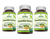 Herbal Secrets Boswellia Serrata Extract (65% Boswellic Acids) 600 mg Capsules