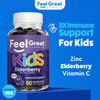 Feel Great Vitamin Co. Elderberry Gummies for Kids