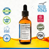 Natural Path Silver Wings Colloidal Silver 50ppm (250mcg) Immune Support