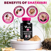 VitaUp Shatavari Capsules for Women 1200mg