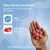 VITA GLOBE Zinc Citrate Gummies - 50mg Daily Zinc Supplement