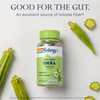SOLARAY Okra Fruit 1600 mg - High Fiber Supplement for Wellness Support