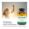 Country Life Potassium 99 mg Tablets