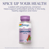 SOLARAY Cinnamon Extract 300mg - Cinnamon Supplements for Balance