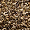 FRONTIER Milk Thistle Seed Whole